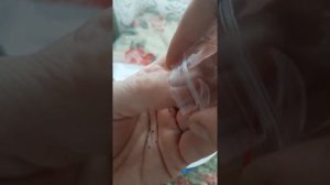 посев родохитона ??????