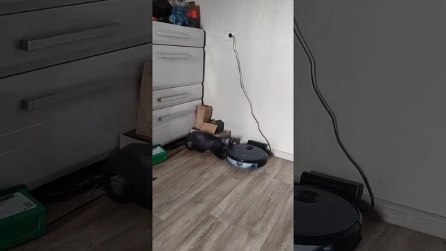 Кот нападает на робот-пылесос! смотреть онлайн