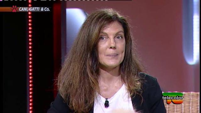 Cani, Gatti & Compagnia: coton de tulear 27.10.2018