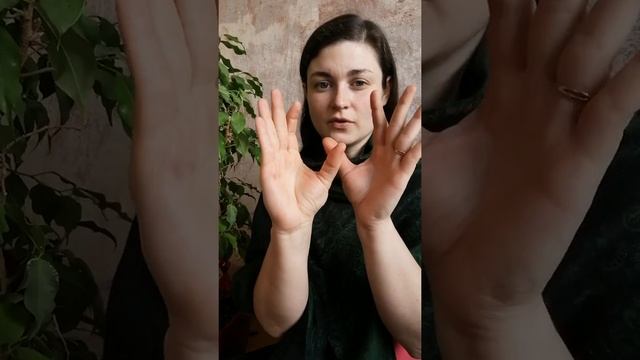 Пальчиковая гимнастика "Белка и ворона" смотреть онлайн
