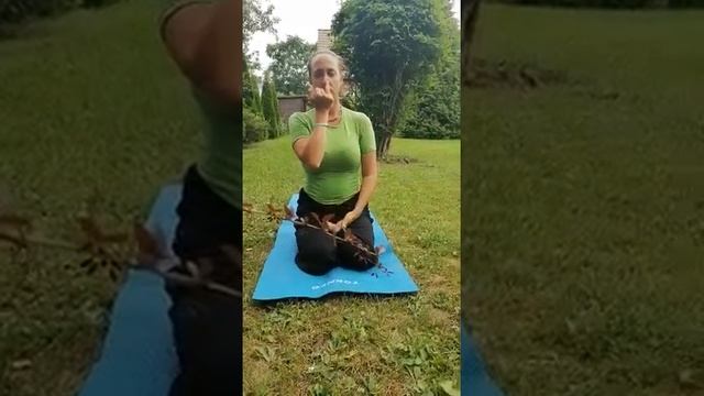 Пранаяма для начинающих смотреть онлайн