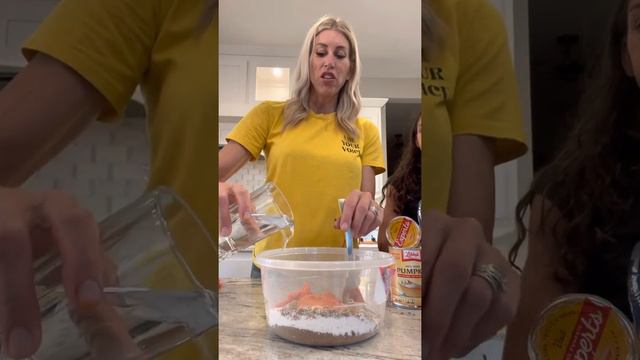 Making homemade French Bulldog puppy mush смотреть онлайн