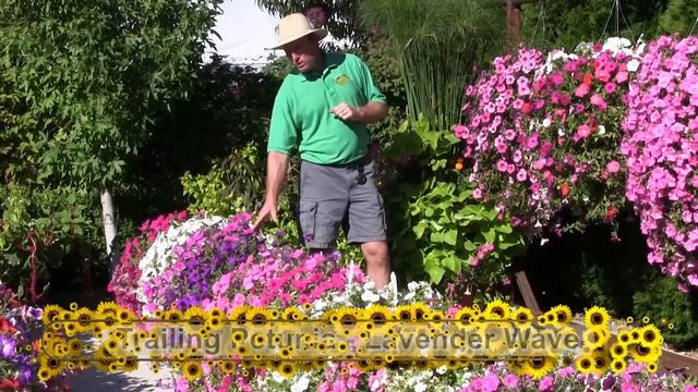 Trailing Petunia: Part 1 смотреть онлайн
