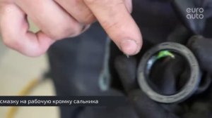 Замена ремня ГРМ на Ford Focus (Форд Фокус). Ремонт автомобиля с ЕвроАвто