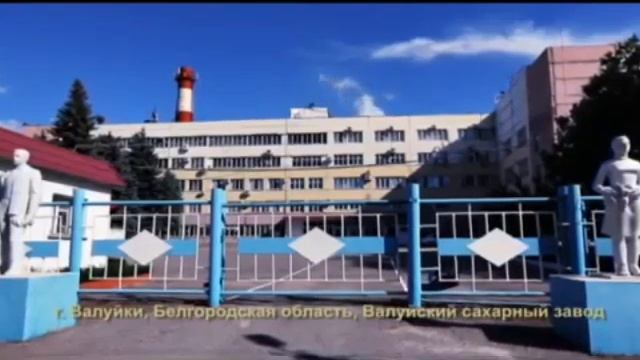 Как делают рафинад сахара. смотреть онлайн