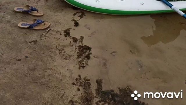 У НАС СНОВА ПРИКЛЮЧЕНИЯ. КАТАЕМСЯ НА САП БОРД. смотреть онлайн