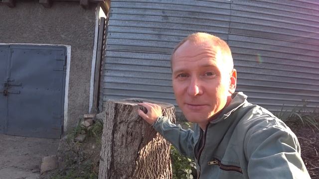 Как легко и без усилий избавиться от пня любого размера за 9 минут смотреть онлайн