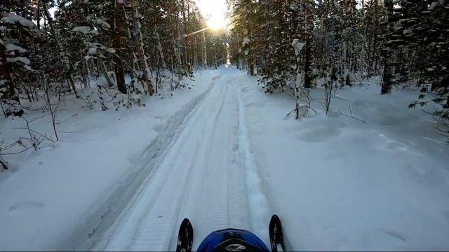 ?Активный отдых на снегоходе | Лесные просеки | YAMAHA WR 300 PRO EDITION смотреть онлайн