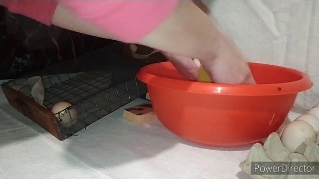 наконец дождалась! инкубация. яйценоскость кур и Eco farm смотреть онлайн