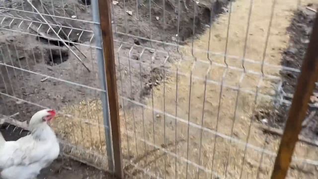 659❤️Мама успокоилась ?. Что опять сотворил папа? Кубанское небо удивляет. смотреть онлайн