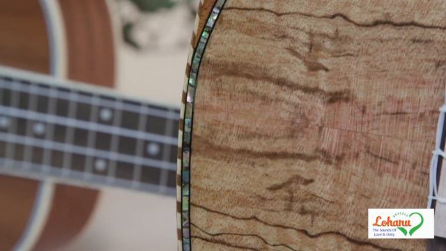Lohanu Ukulele The Leading Brand for Ukuleles NewsWatch Review смотреть онлайн