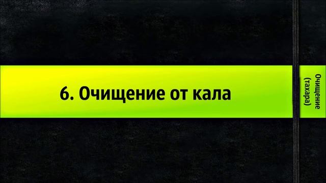 6. Очищение от кала - Очищение (тахара) смотреть онлайн