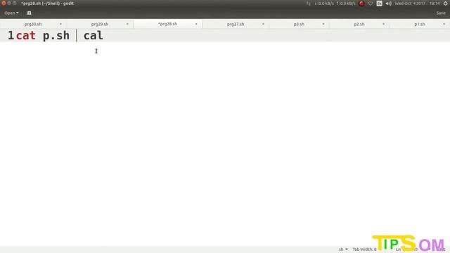 Shell Scripting Tutorial -27: Run Multiple Commands & Scripts | Som Tips смотреть онлайн