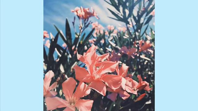 Aesthetic Pinterest Vibe Backgrounds