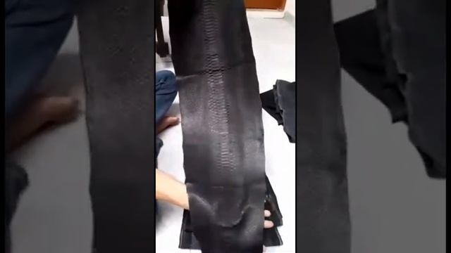 Кожа питона натуральная смотреть онлайн