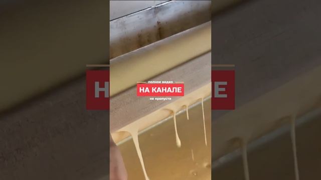 Ролик Как приготовить 23 слойный рисовый пирог Баумкухен Корейский десерт смотреть онлайн