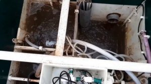 Неисправность канализации Астра 5 -  забились форсунки