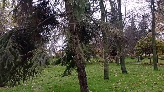 На этом месте , было Кафе Пингвин .Курск ул Ленина. смотреть онлайн
