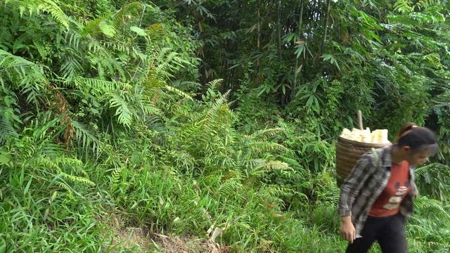 Go To The Forest To Find Bamboo Shoots, Dig And Catch Wild Rats To Raise, Build A New Farm