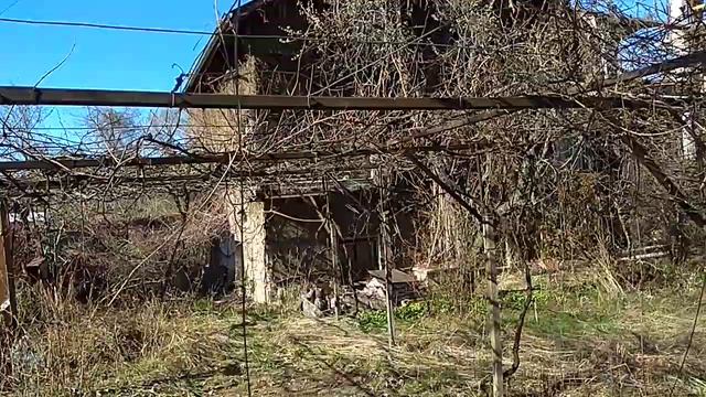 Косвени факти за преки изводи, относно душевността и духовността на обитателите на телата и сградит смотреть онлайн