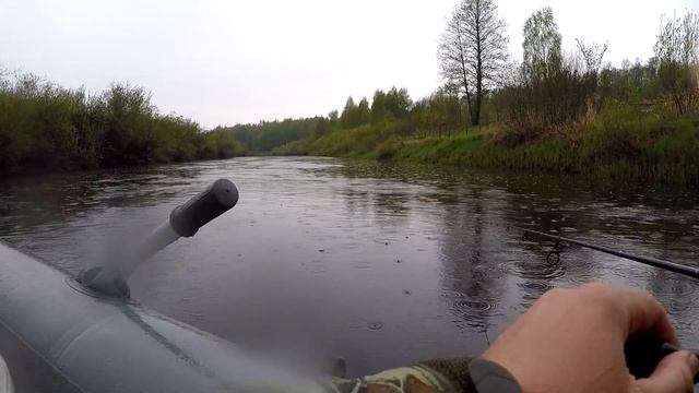 Рыбалка Псковская область река Сороть, Часть третья - Дождливая Окуневая 08.05.19 смотреть онлайн