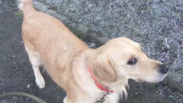 Пишу стихи! Она моя любовь ведь посланная Богом смотреть онлайн