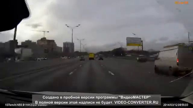 Прыгучий котенок перебегает дорогу смотреть онлайн