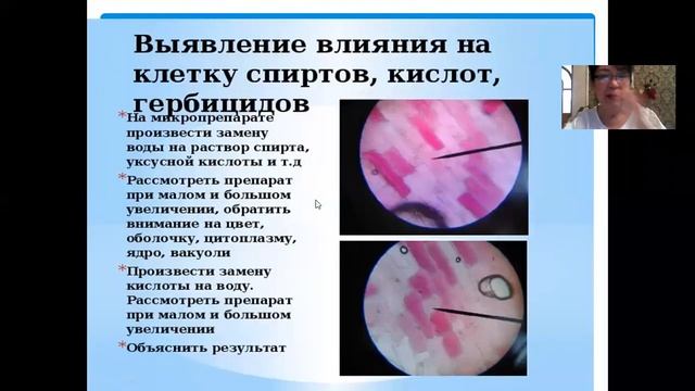 Лаб работа по Физиологии растений смотреть онлайн