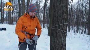 Как забраться на дерево с помощью верёвки
