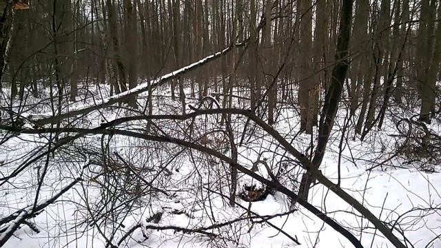 место, где я фотографирую кукол смотреть онлайн