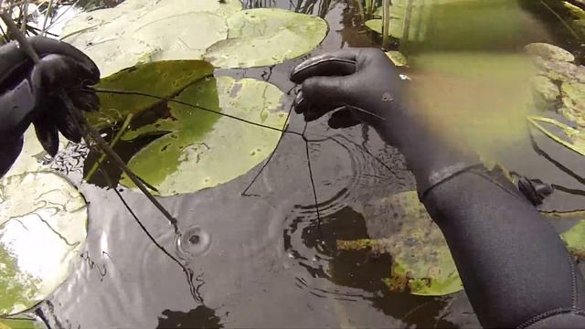 УДОСТОВЕРЕНИЕ ПОДВОДНОГО ОХОТНИКА скоро нужно будет иметь ВСЕМ! смотреть онлайн