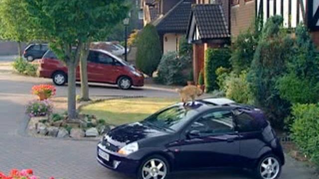ford ka commercial смотреть онлайн
