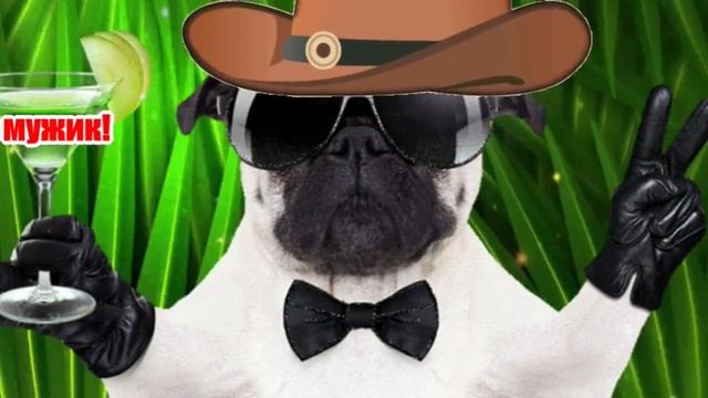 поздравляю с днём мужчин.mp4 смотреть онлайн