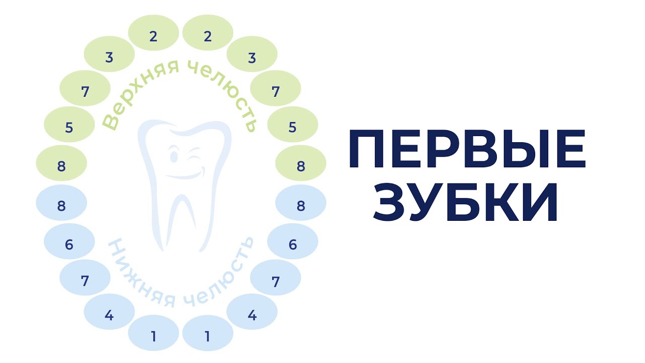Когда начинают и заканчивают резаться зубы? Как успокоить зуд? Гель Dentinale® natura.