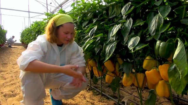 Канал для садоводов «Сады России»