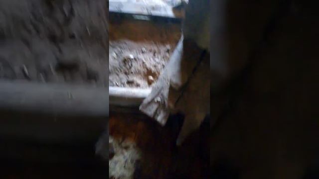 Выявление и чистка подкладка. смотреть онлайн