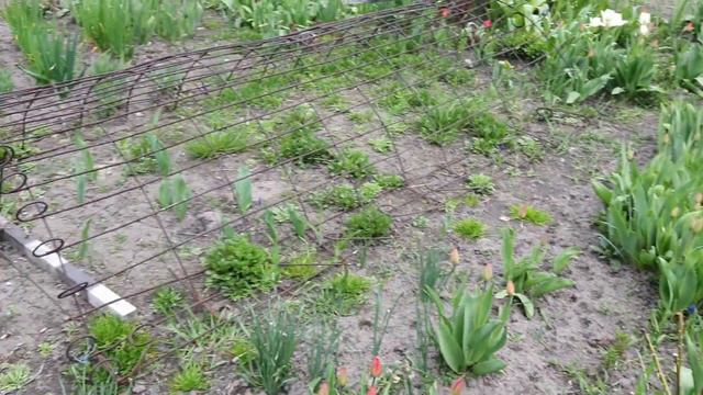Хозяйские Будни: ПРАЗДНУЕМ ПАПИН ДЕНЬ РОЖДЕНИЯ/ ВСЕХ С ПРАЗДНИКАМИ смотреть онлайн