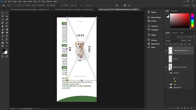 How to place trifold brochure Mockup смотреть онлайн