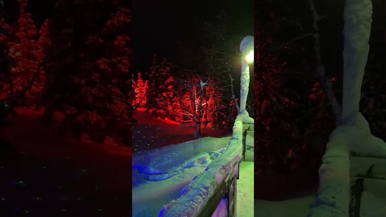 ▷Красивый лес◁ смотреть онлайн