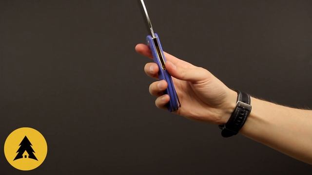 Складной нож CIVIVI Naja C802B 9Cr18MoV Blue G10 смотреть онлайн