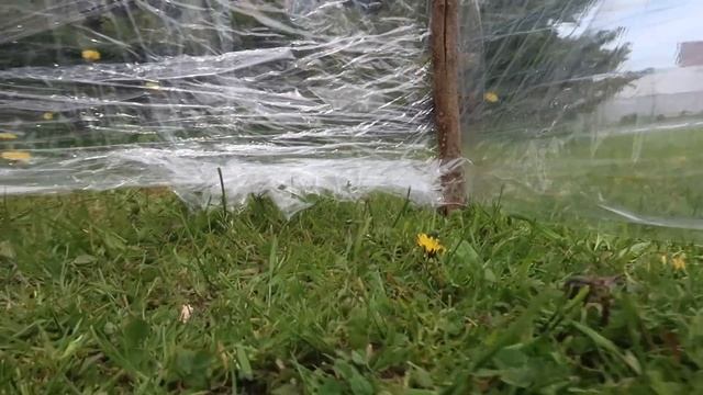 ДОМИКИ ИЗ СТРЕТЧ ПЛЁНКИ И РУССКИЕ СУШИ ДЛЯ КОТОВ И СОБАК смотреть онлайн