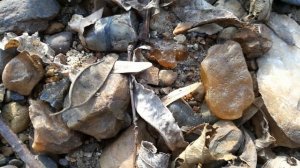 Поиски минерала сердолика в реке ( ручье ) Приморские самоцветы.