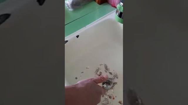 Чистка карася ложкой смотреть онлайн
