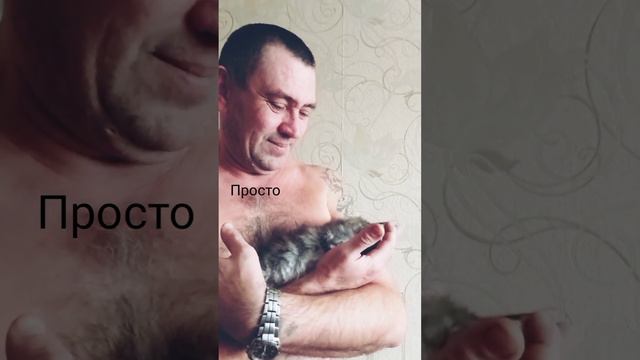 Мужчины и котята питомник Мейн Кун RIVERSIDE PRIDE смотреть онлайн