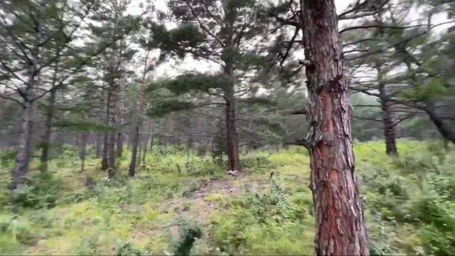 Байкал Остров Ольхон смотреть онлайн