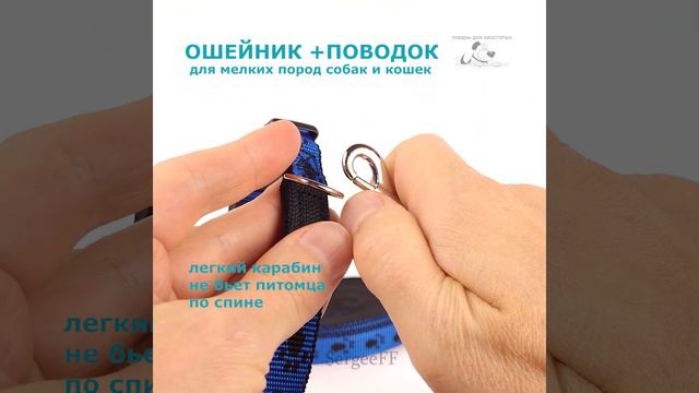 Комплект 2 в 1: поводок и ошейник в едином стиле, с рисунком "лапки", сине-черный смотреть онлайн