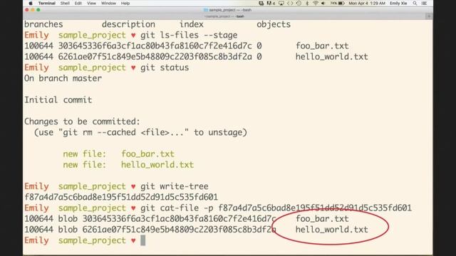 Dissecting Git's Guts, Emily Xie - Git Merge 2016 смотреть онлайн