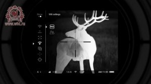 Инструкция по использованию тепловизионных прицелов Pulsar Trail