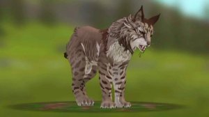 Прикол У мужа  температура в Wild craft.на 150 подпищиков ???????????