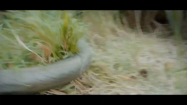 MONSTER PYTHON Trailer (2022) Giant Snake Horror смотреть онлайн